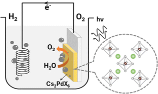 Graphical abstract: Tuneable vacancy-ordered Halide perovskites Cs2PdX6 (X = Cl, Br) for photoelectrochemical water splitting