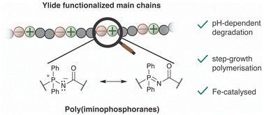 Graphical abstract: Poly(N-acyliminophosphoranes): main chain functionalized poly(ylides) with pH-dependent degradation