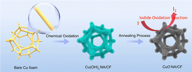 Graphical abstract: Balancing the electronic structure and surface reconstruction of Cu-based nanostructures for iodide oxidation reactions