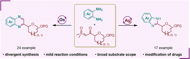 Graphical abstract: Switchable synthesis of benzimidazole/quinoxaline C-glycosides with o-phenylenediamines and sulfoxonium ylide glyco-reagents