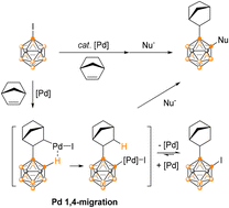 Graphical abstract: Catalytic regioselective 3,4-difunctionalization of 3-iodo-o-carborane via Pd migration