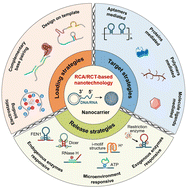 Graphical abstract: Rolling circle amplification/transcription-based nanotechnology for efficient delivery of nucleic acid drugs