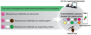Graphical abstract: Recent advances in nanozymes based on mesoporous materials for enhancing the performance of colorimetric biosensors: Applications and challenges