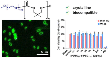Graphical abstract: Biocompatible two-dimensional platelets with tunable sizes from polycarbonate-based block copolymers
