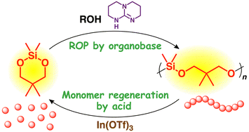 Graphical abstract: Ring-opening polymerization of six-membered 1,3-dioxa-2-silacycloalkanes by an organobase catalyst: precision polymerization and monomer regeneration by polymer degradation