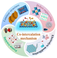 Graphical abstract: Proton co-intercalation enabled high-performance aqueous multivalent metal-ion batteries