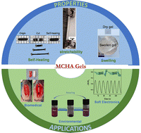 Graphical abstract: A state-of-the-art review of multi-cross-linked hydrophobic associated hydrogels for soft electronic, biomedical, and environmental applications