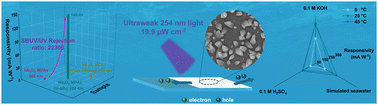 Graphical abstract: Vertical Nb2O5 micro-petal array photoelectrochemical deep-UV photodetectors for underwater weak-light photodetection
