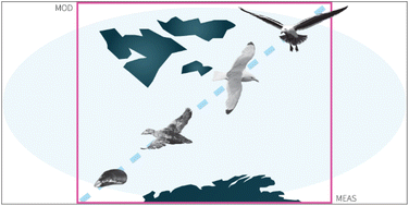 Graphical abstract: Investigating the impact of climate change on PCB-153 exposure in Arctic seabirds with the nested exposure model