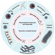 Graphical abstract: Polymerization-induced self-assembly nanomaterials based on dynamic covalent bonds