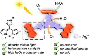 Graphical abstract: A cyclic trinuclear silver complex for photosynthesis of hydrogen peroxide