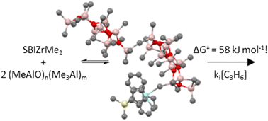 Graphical abstract: A cooperative model for metallocene catalyst activation by methylaluminoxane