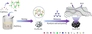 Graphical abstract: Cu- and P-co-doped nitrogen-doped hierarchical carbon for enhanced oxygen reduction reaction in zinc–air batteries