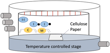 Graphical abstract: Surface modification of paper-based microfluidic devices via initiated chemical vapor deposition
