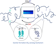 Graphical abstract: pH-responsive polymer-supported pyrene-based fluorescent dyes for CO2 detection in aqueous environments