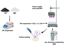 Graphical abstract: Antibacterial efficacy of light-activated graphene oxide nanoparticles and nanochitosan in water