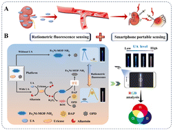 Graphical abstract: A facile, low-cost bimetallic iron–nickel MOF nanozyme-propelled ratiometric fluorescent sensor for highly sensitive and selective uric acid detection and its smartphone application