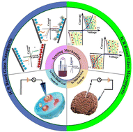 Graphical abstract: Glass nano/micron pipette-based ion current rectification sensing technology for single cell/in vivo analysis