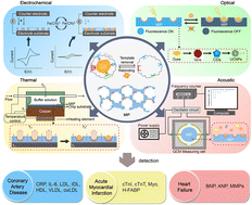 Graphical abstract: Molecularly imprinted polymer sensors for biomarker detection in cardiovascular diseases
