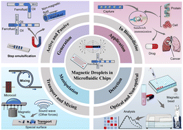 Graphical abstract: Generation, manipulation, detection and biomedical applications of magnetic droplets in microfluidic chips