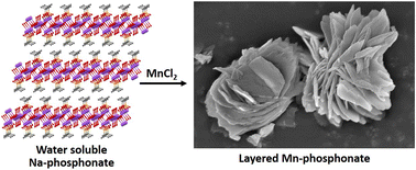 Graphical abstract: Facile room-temperature synthesis of layered transition metal phosphonates via hitherto unknown alkali metal tert-butyl phosphonates