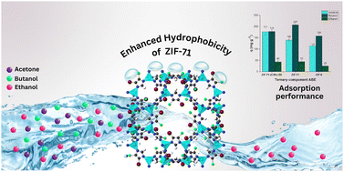 Graphical abstract: Unveiling the impact of enhanced hydrophobicity of ZIF-71 on butanol purification: insights from experimental and molecular simulations