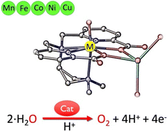 Graphical abstract: Chemical design of metal complexes for electrochemical water oxidation under acidic conditions