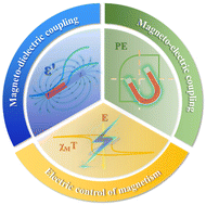 Graphical abstract: Perspective on room temperature and low-field-induced magnetoelectric coupling in molecular complexes