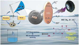 Graphical abstract: Nano-TiO2 immobilized polyvinylidene fluoride based spongy-spheres for ciprofloxacin photocatalytic degradation: antibacterial activity removal, mechanisms, UVA LED irradiation and easy recovery
