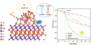 Graphical abstract: How metal/support interaction improved degradation performance in the peroxymonosulfate activation process: significance of high-valent cobalt-oxo species