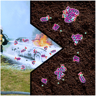 Graphical abstract: Interfacial adsorption and dynamics of fluorotelomers with soil minerals – mechanistic insights