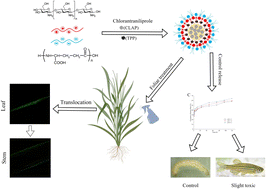 Graphical abstract: Eco-friendly chitosan base chlorantraniliprole nano-pesticides for effective control of Chilo suppressalis (Walker) through bidirectional transport
