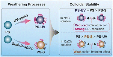 Graphical abstract: Weathering pathways differentially affect colloidal stability of nanoplastics