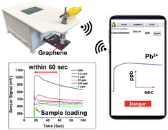 Graphical abstract: A portable and reusable sensor system based on graphene for real-time and sensitive detection of lead ions in water