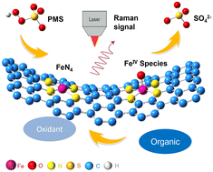 Graphical abstract: In situ Raman studying the microstructure and function of FeIV species in advanced oxidation processes