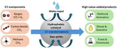 Graphical abstract: Role of a hydrophobic microenvironment in catalytic C1 transformations
