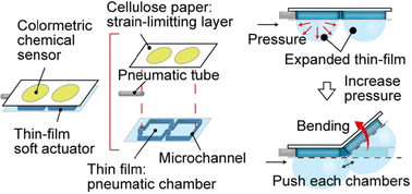 Graphical abstract: Microfluidic paper-based analytical soft actuators (μPAC)