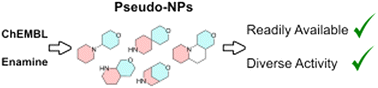 Graphical abstract: Identification of readily available pseudo-natural products
