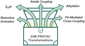 Graphical abstract: Expanding the reaction toolbox for nanoscale direct-to-biology PROTAC synthesis and biological evaluation