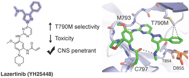 Graphical abstract: Lazertinib: breaking the mold of third-generation EGFR inhibitors