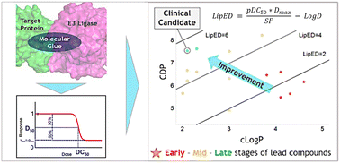 Graphical abstract: Leveraging efficiency metrics for the optimization of CELMoDs™ as cereblon-based molecular glue degraders