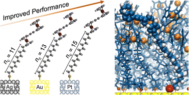 Graphical abstract: Supramolecular tunnelling junctions with robust high rectification based on assembly effects