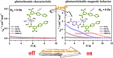 Graphical abstract: Step-wise assembly of a dysprosium–viologen framework with photoswitchable slow magnetic relaxation under a zero dc field