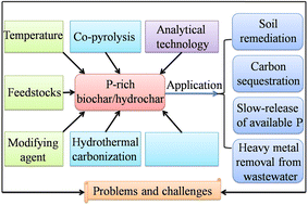 Graphical abstract: Production, characterization and environmental remediation application of emerging phosphorus-rich biochar/hydrochar: a comprehensive review