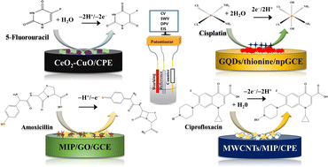 Graphical abstract: Electrochemical analysis of anticancer and antibiotic drugs in water and biological specimens