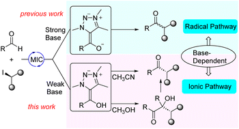 Graphical abstract: Switching mesoionic carbene-organocatalysis from radical to ionic pathway through base-controlled formation of Breslow intermediates versus Breslow enolates