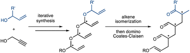 Graphical abstract: Iterative synthesis of stereodefined polyacetals and their domino-Coates–Claisen rearrangement