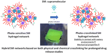 Graphical abstract: Double-crosslinkable poly(urethane)-based hydrogels relying on supramolecular interactions and light-initiated polymerization: promising tools for advanced applications in drug delivery