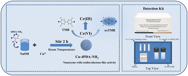 Graphical abstract: A convenient colorimetric assay for Cr(vi) detection based on the nanozyme Cu-4PDA-NH2 with oxidoreductase-like activity