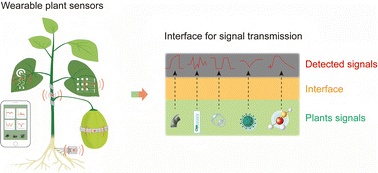 Graphical abstract: Inspiration of plant-related adhesion for plant wearable sensor interface design